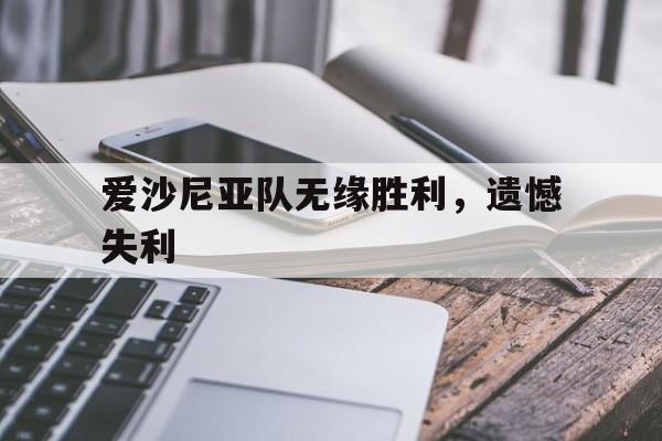 爱沙尼亚队无缘胜利，遗憾失利的简单介绍